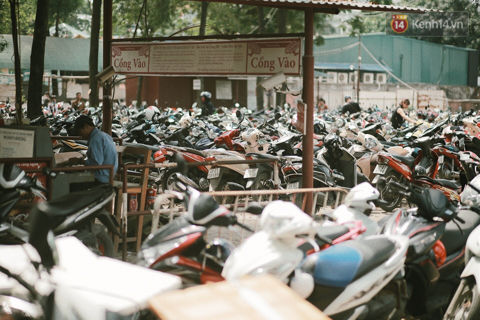 Nghỉ lễ 30/4, người dân Hà Nội đổ xô đến Công viên Thủ Lệ vui chơi, nằm trên bãi cỏ trốn nóng